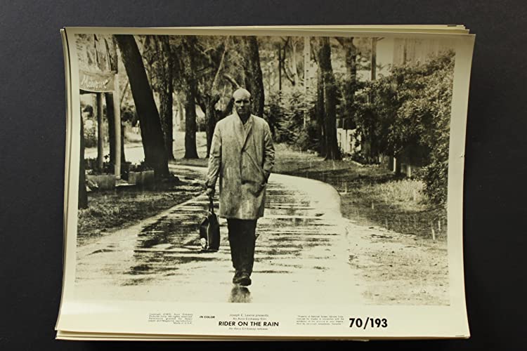 雨の訪問者の画像