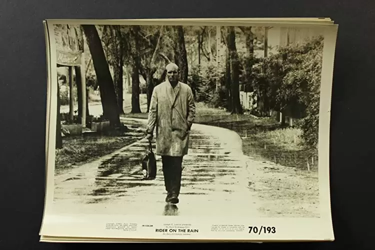 雨の訪問者の画像