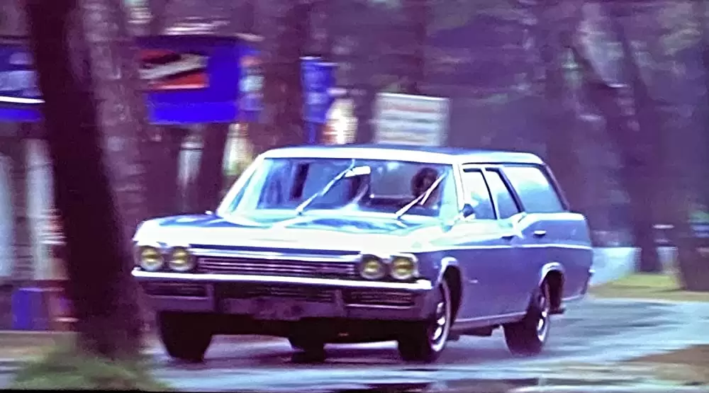 雨の訪問者の画像