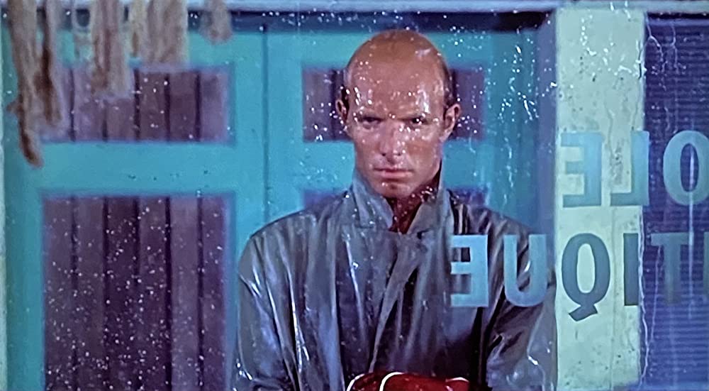 雨の訪問者の画像