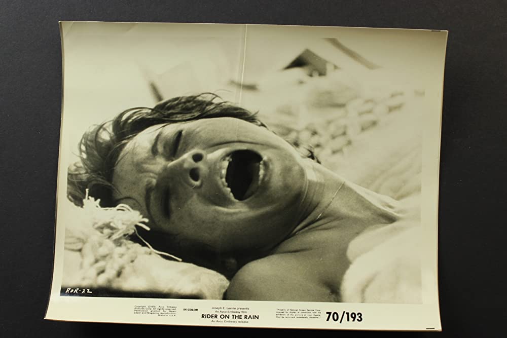 雨の訪問者の画像