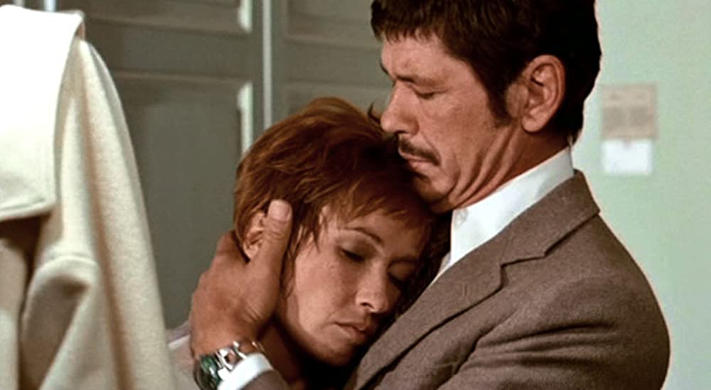 雨の訪問者の画像