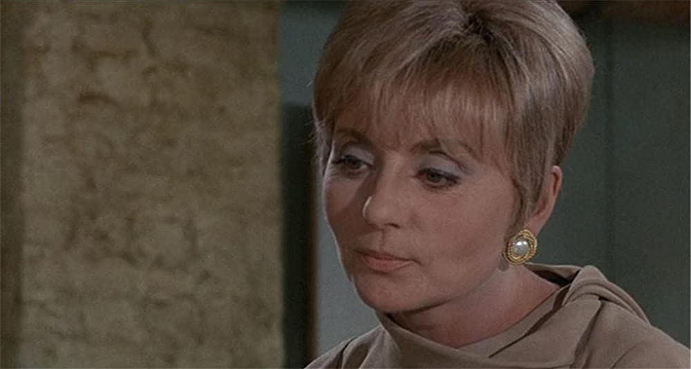 雨の訪問者の画像