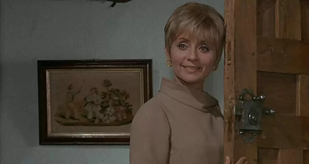 「雨の訪問者」アニー・コルディの画像