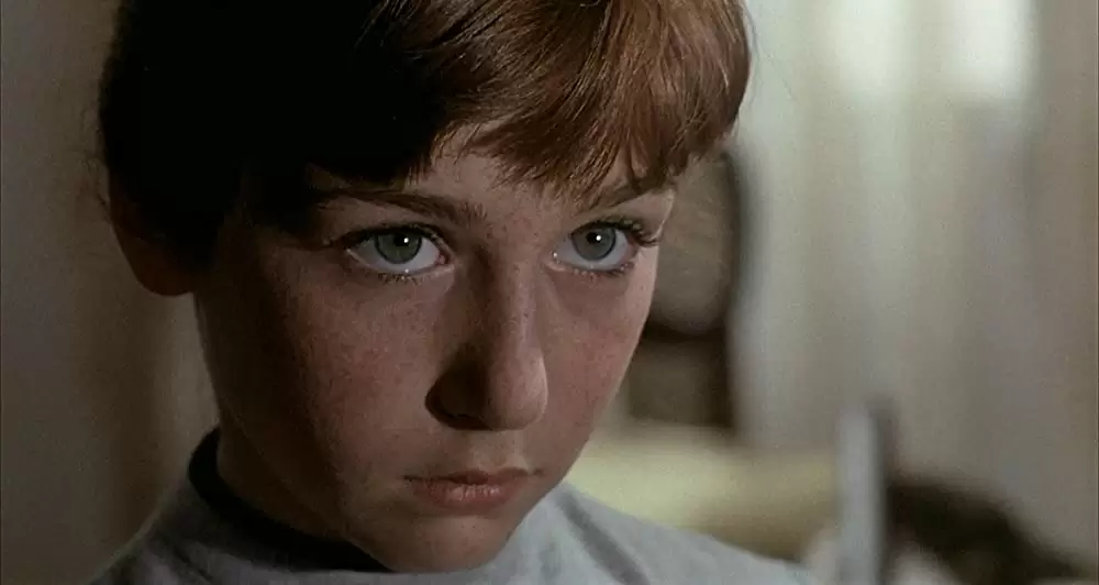 雨の訪問者の画像