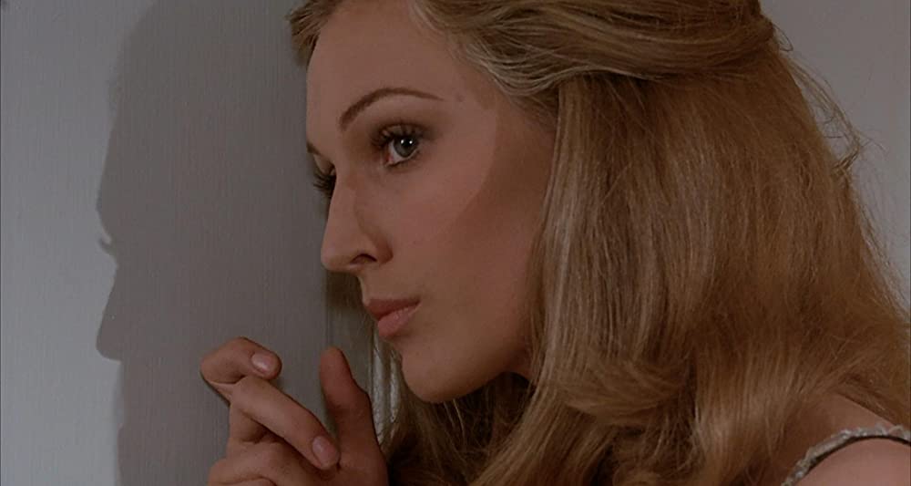 雨の訪問者の画像