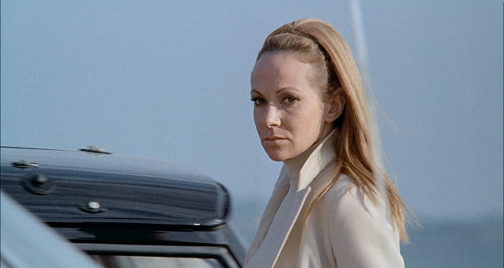 雨の訪問者の画像