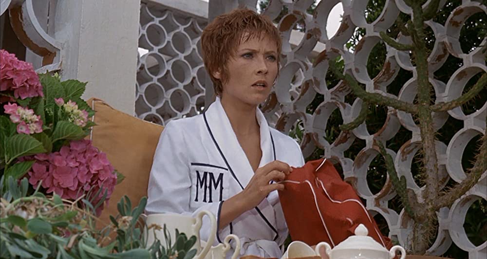 雨の訪問者の画像