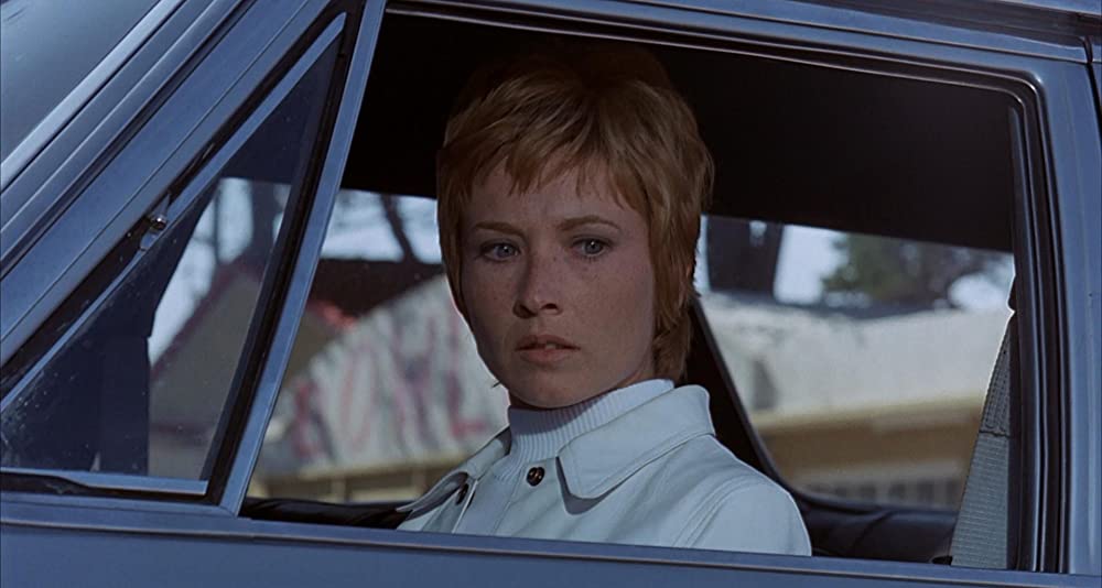 雨の訪問者の画像