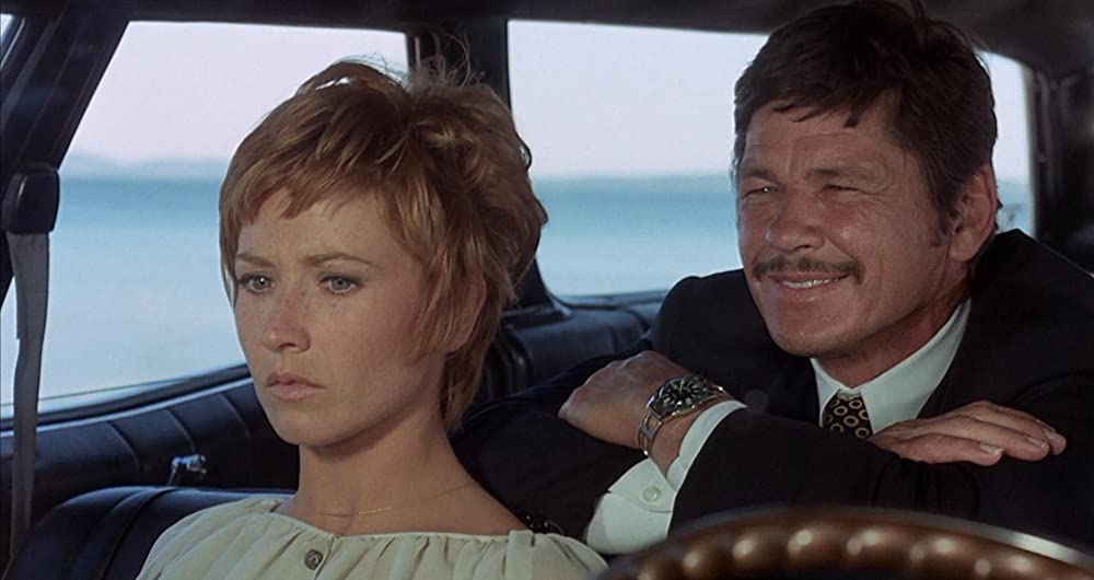 雨の訪問者の画像