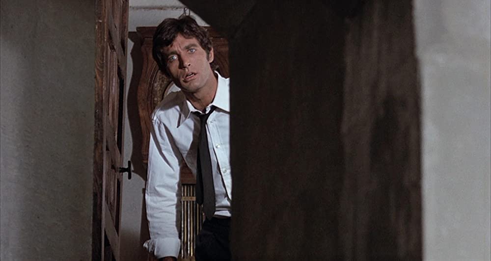 雨の訪問者の画像