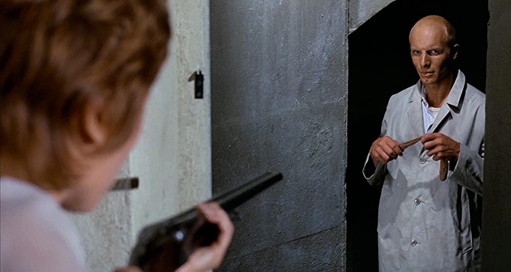 雨の訪問者の画像