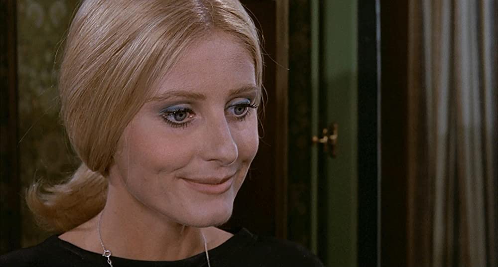 雨の訪問者の画像