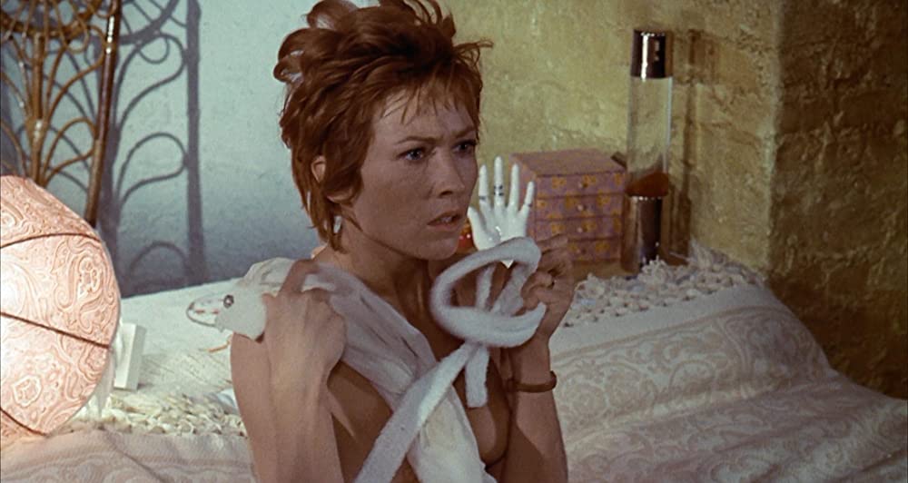 雨の訪問者の画像