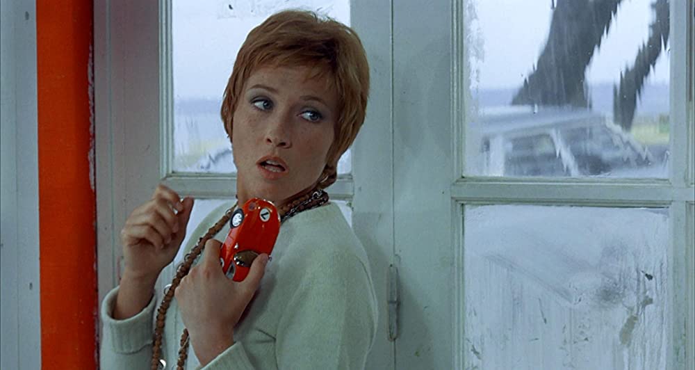 雨の訪問者の画像