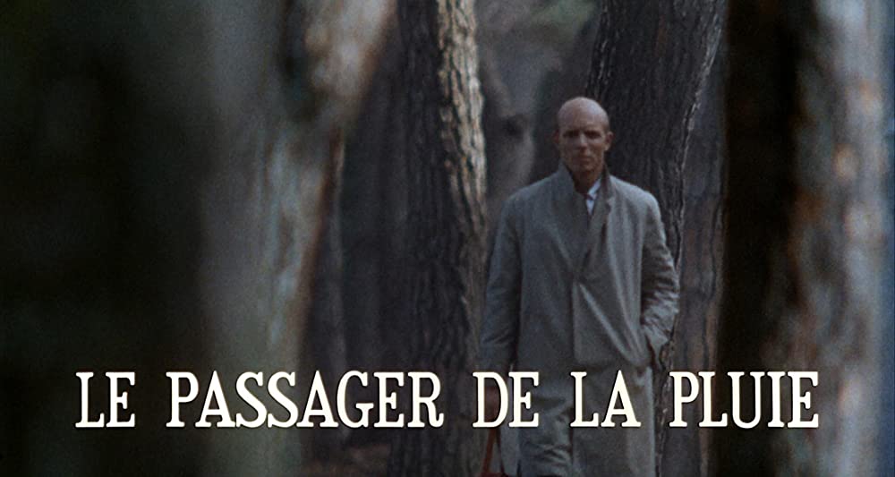 雨の訪問者の画像