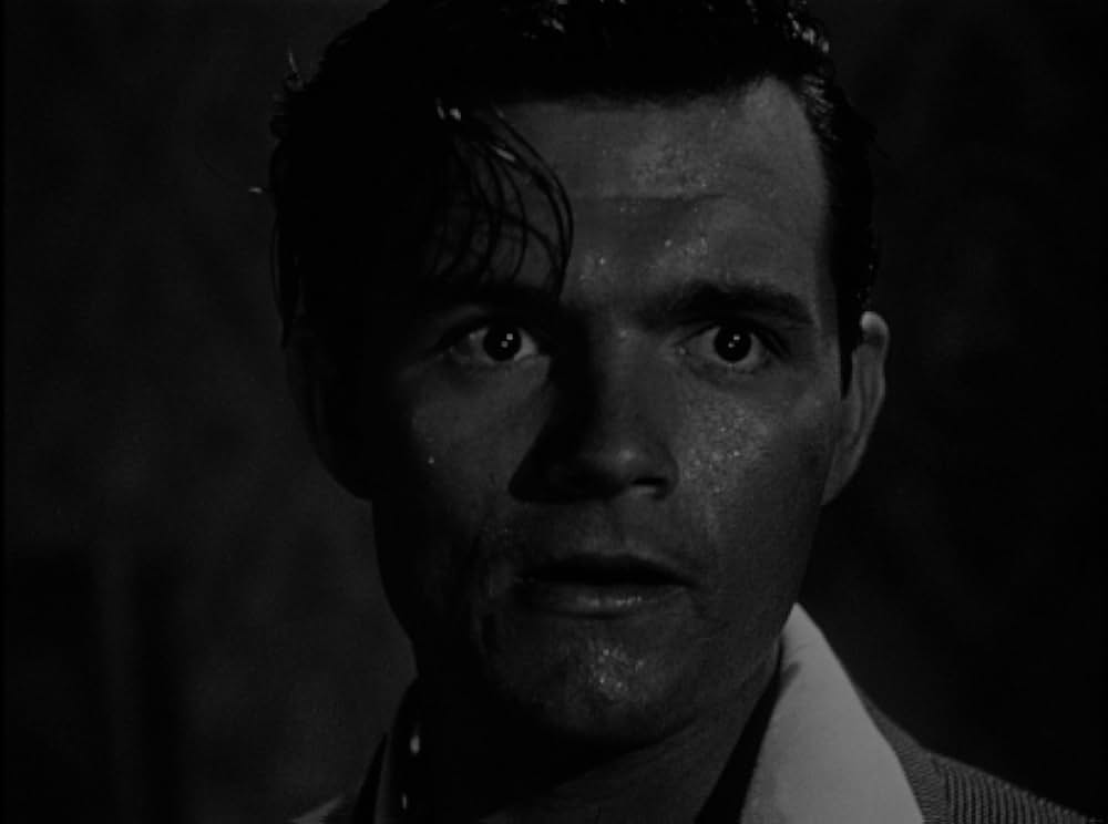 Voice of the Whistler（原題）の画像