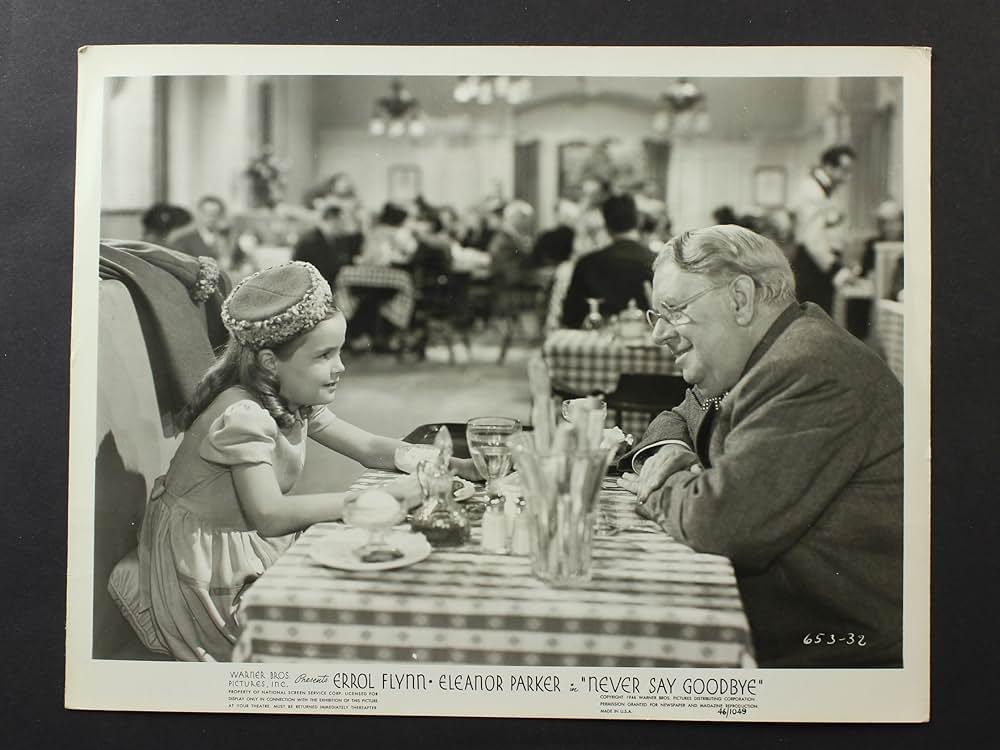 Never Say Goodbye（原題）の画像