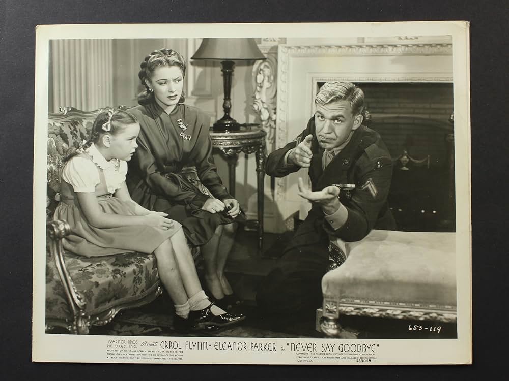 Never Say Goodbye（原題）の画像