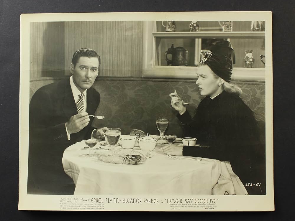 Never Say Goodbye（原題）の画像