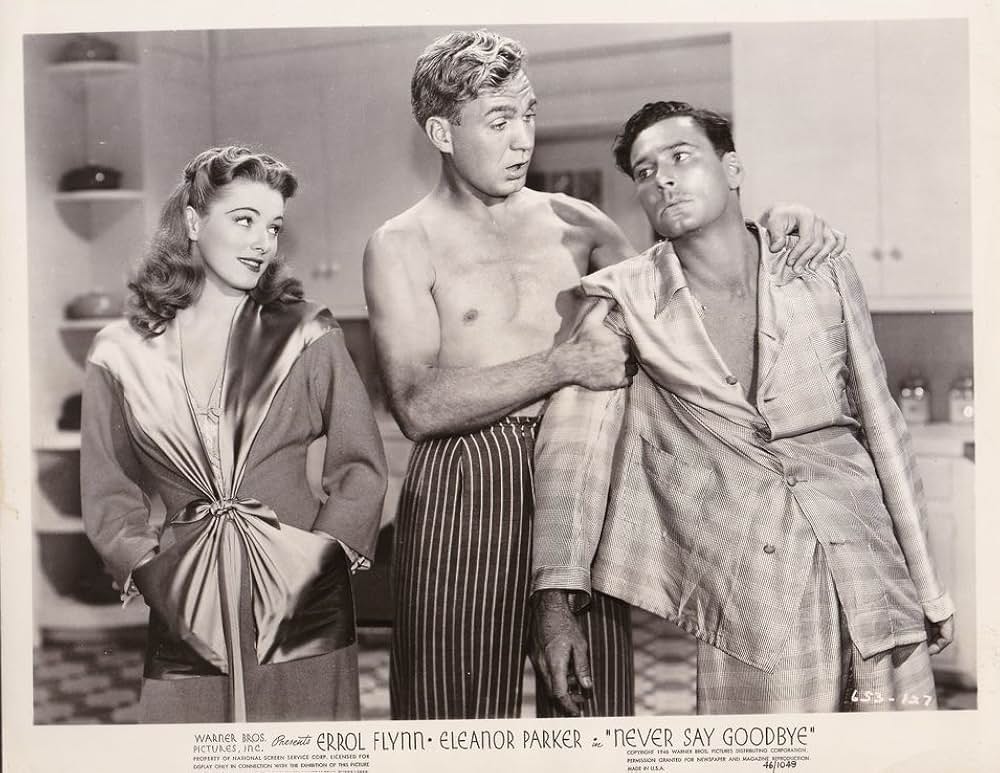 Never Say Goodbye（原題）の画像