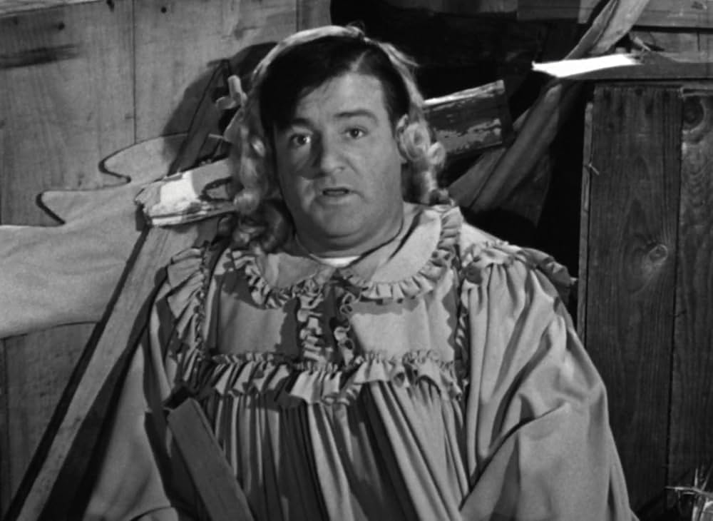 The Naughty Nineties（原題）の画像