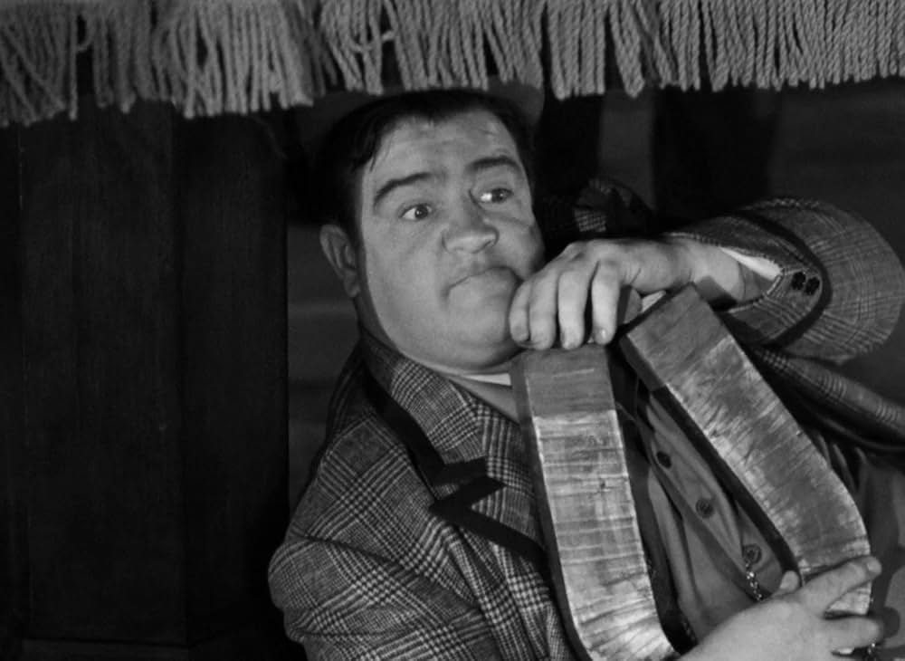 The Naughty Nineties（原題）の画像