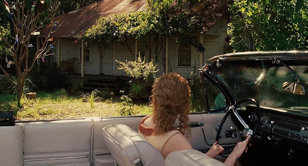 ヘルプ 〜心がつなぐストーリー〜の画像