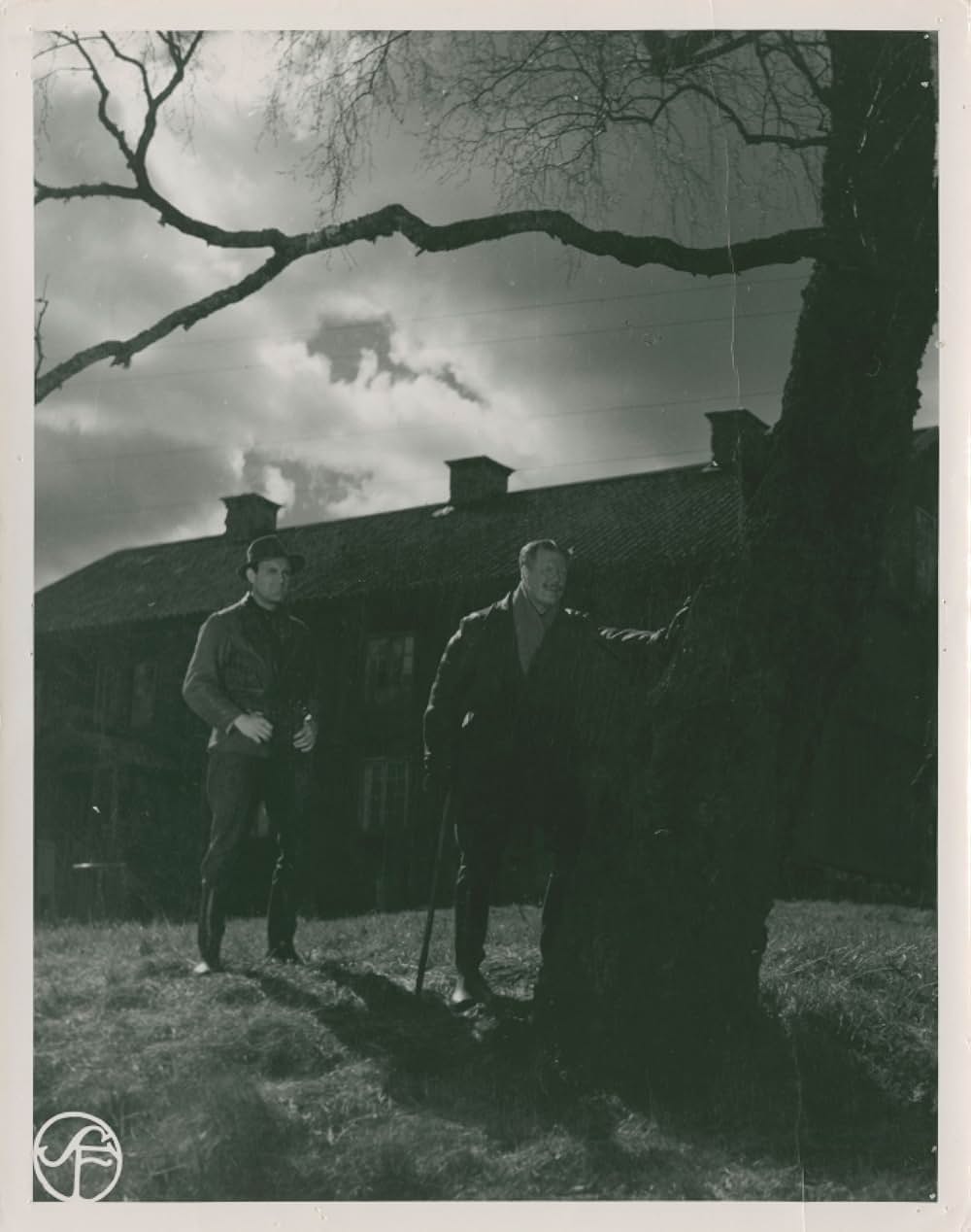 母というだけの画像