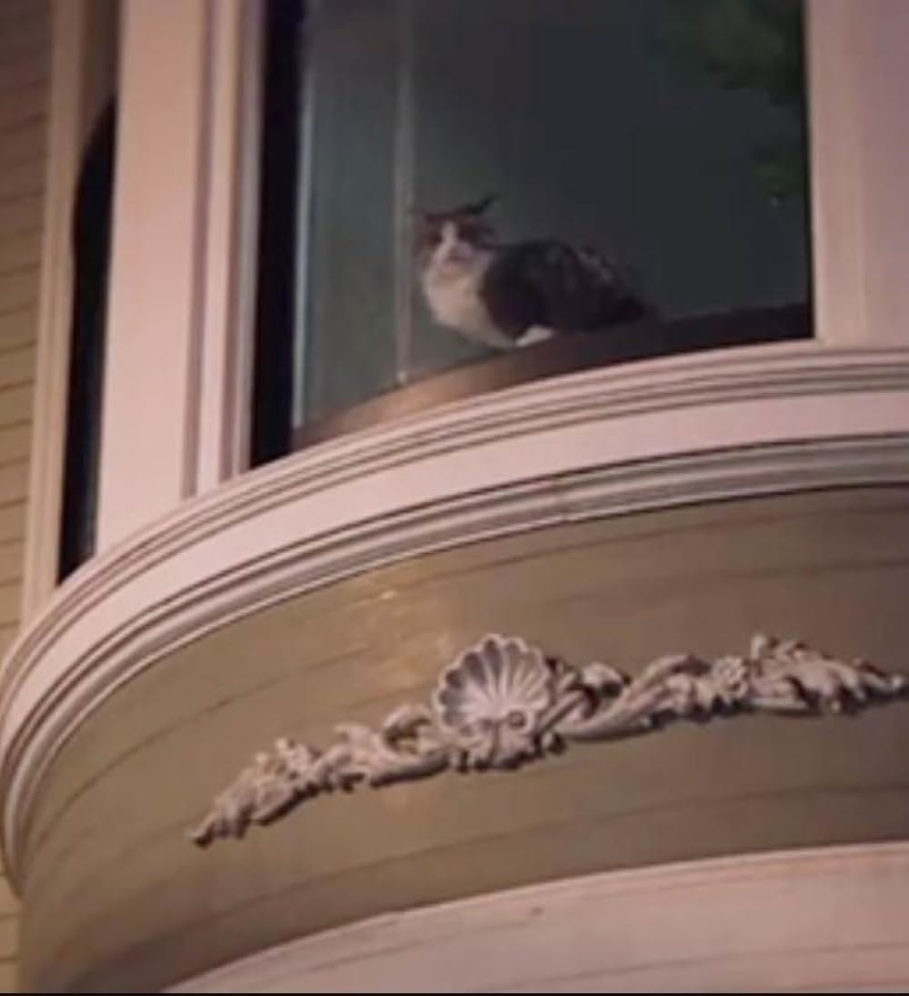 ヴェノムの画像