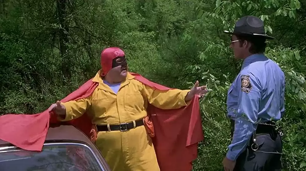 「キャノンボール」Dom DeLuiseの画像