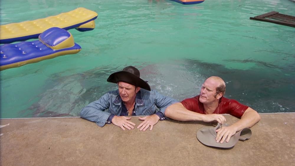 キャノンボールの画像