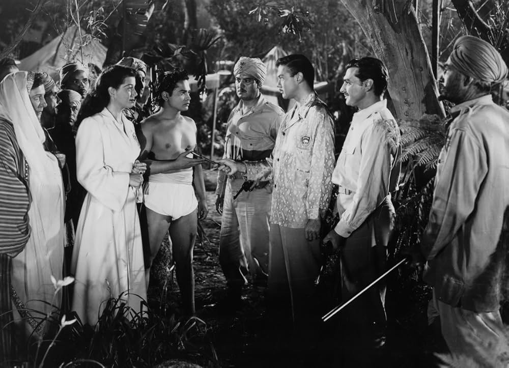 ジャングルの王の画像