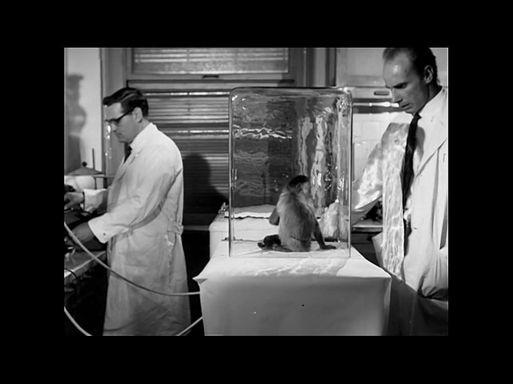 侵略惑星スケルトンの画像