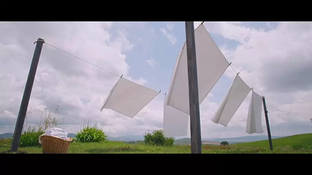 鋼の錬金術師の画像