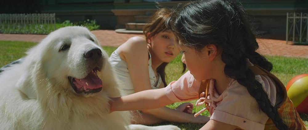 鋼の錬金術師の画像