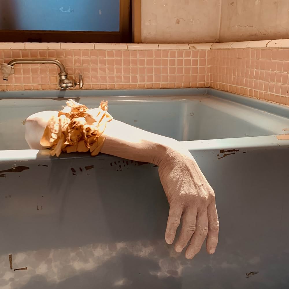 照射されたものたちの画像