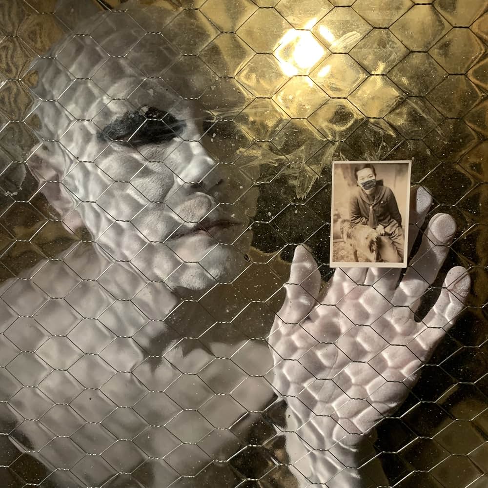 照射されたものたちの画像