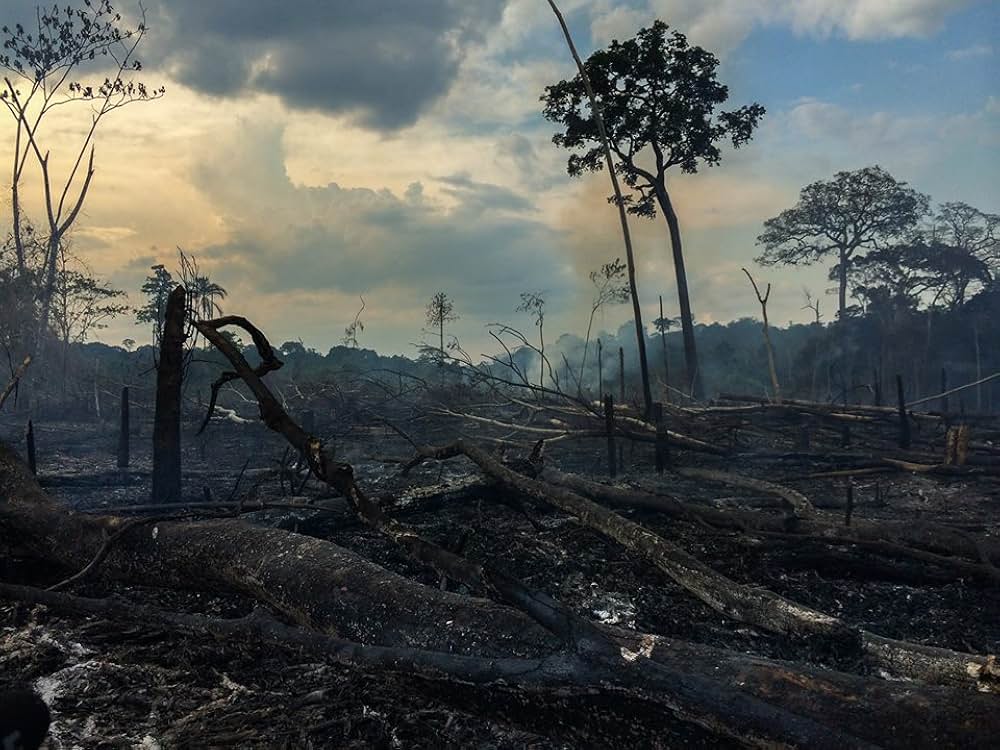 2つの世界が衝突する時の写真