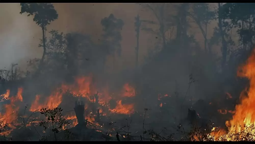 グリーン・ライ 〜エコの嘘〜の画像