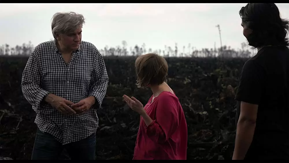 グリーン・ライ 〜エコの嘘〜の画像