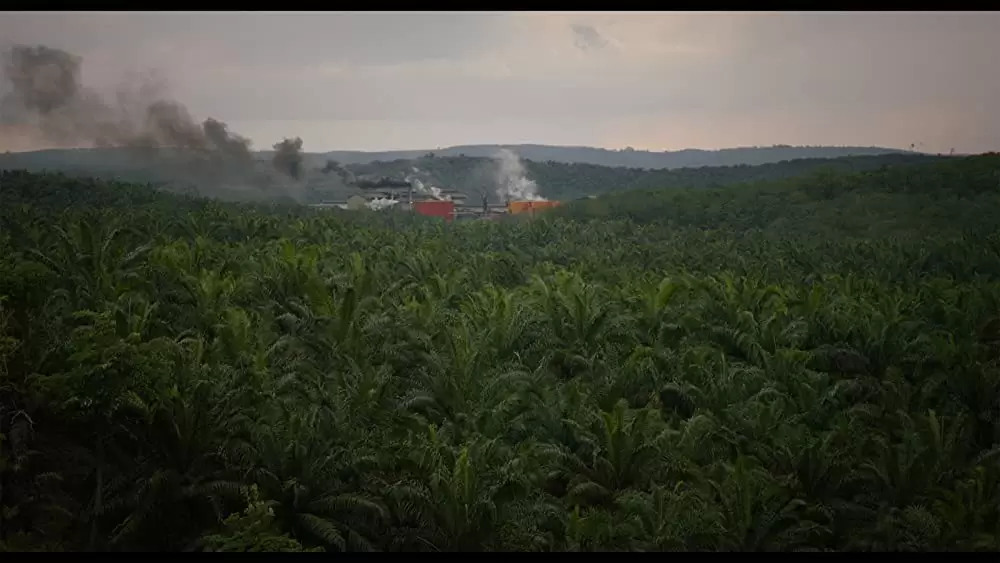 グリーン・ライ 〜エコの嘘〜の画像