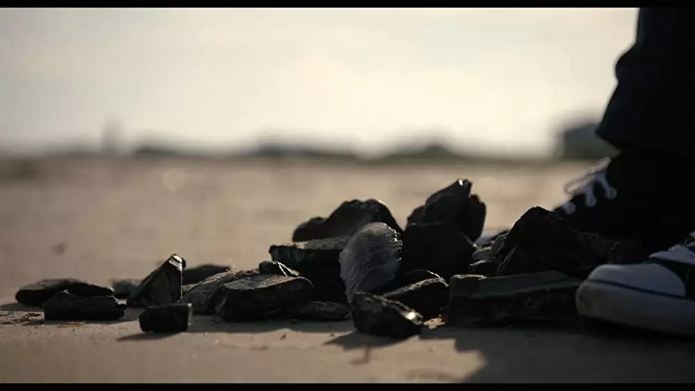 グリーン・ライ 〜エコの嘘〜の画像