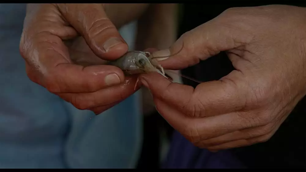 グリーン・ライ 〜エコの嘘〜の画像