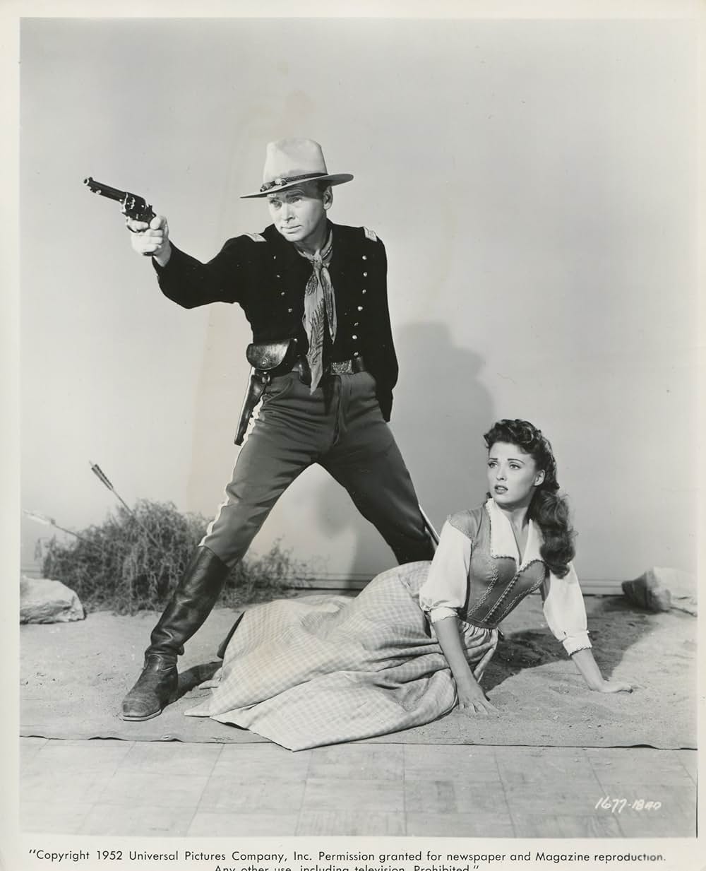 アパッチ峠の闘いの画像