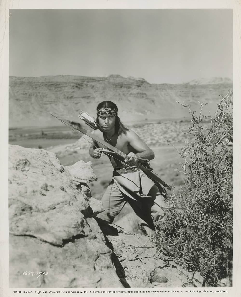 アパッチ峠の闘いの画像