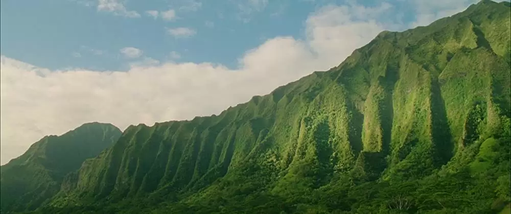 ファミリー・ツリーの画像