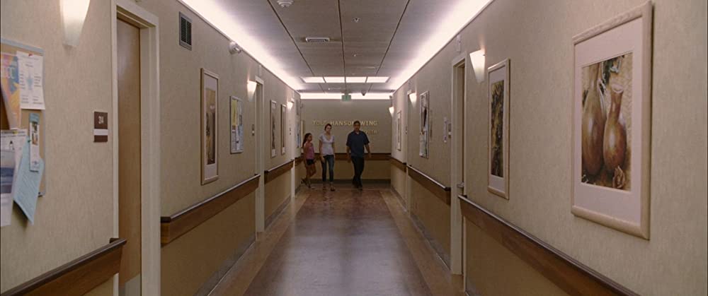 ファミリー・ツリーの画像