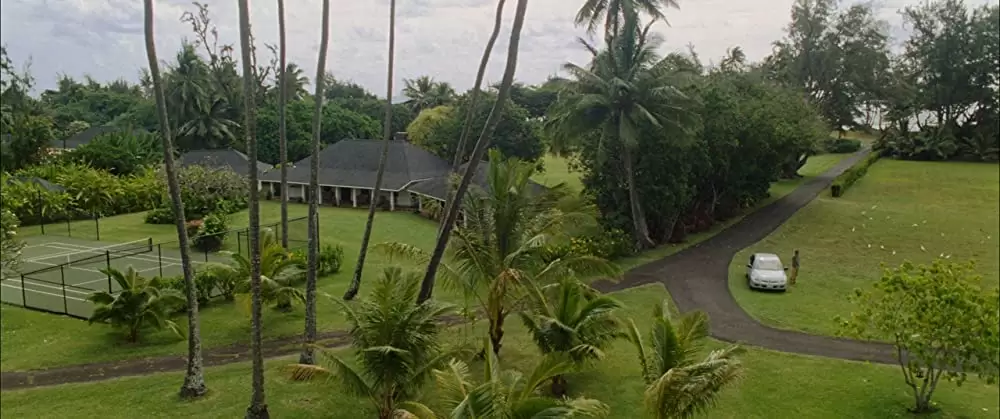 ファミリー・ツリーの画像