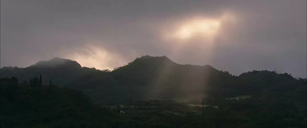 ファミリー・ツリーの画像